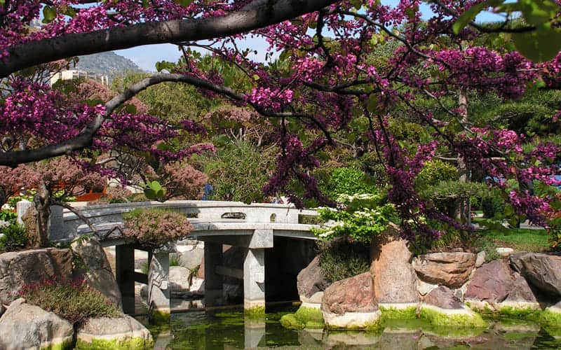 Japanese-Garden-Monaco